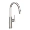 Newport Brass3180_5113Seager Pull Down Kitchen Faucet 