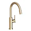 Newport Brass3200_5113Jeter Pull Down Kitchen Faucet 